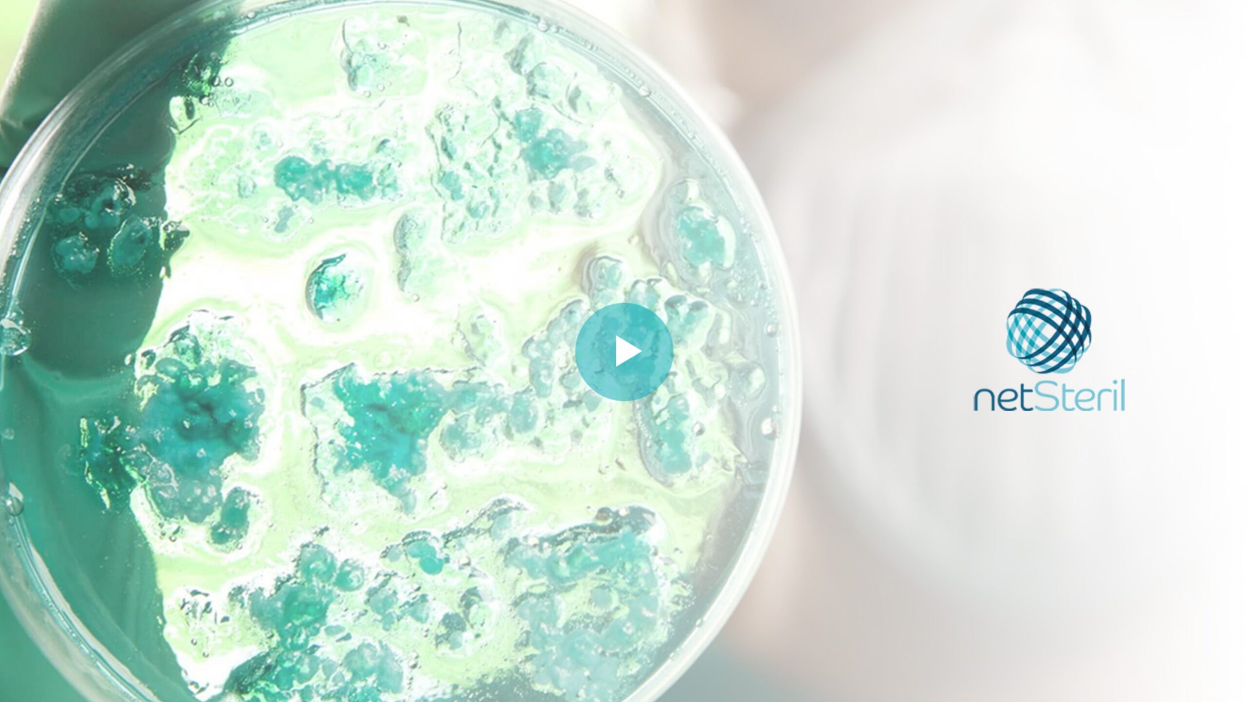 Thumbnail vídeo quienes somos Netsteril